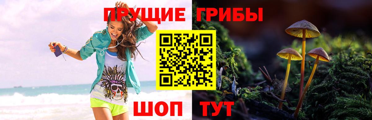 Галлюциногенные грибы ЛСД  Вход с VPN  Псилоцибиновые грибы Cubensis  Строитель 
